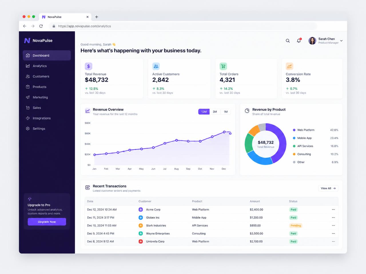 NovaPulse Analytics — SaaS Dashboard design preview